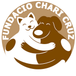 logo-fondation-transparent