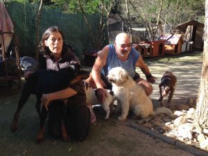isabelle_michel_chiens_3